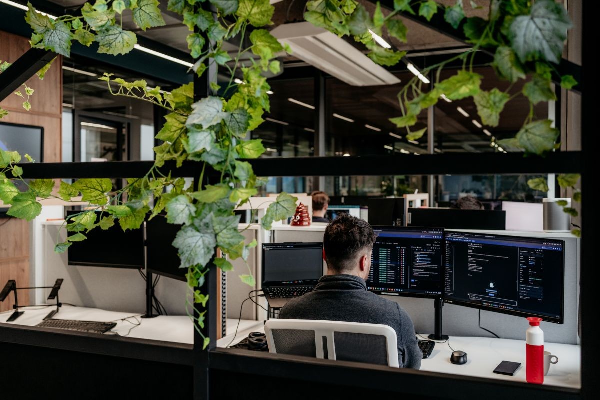 Commercial Lead