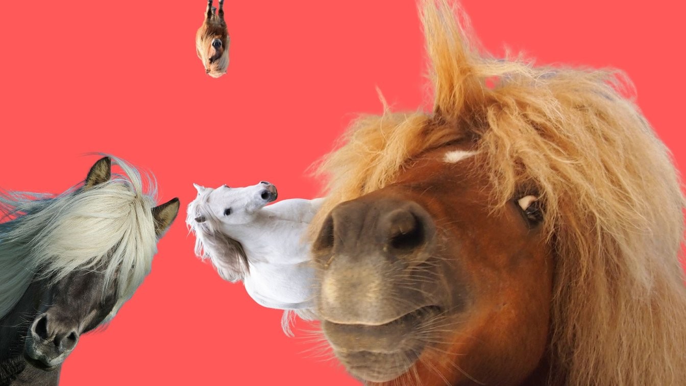 django-pony-express schafft es in die offizielle DSF-Empfehlungsliste