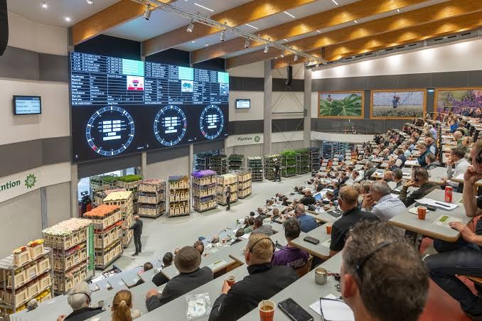 Veilingsysteem vernieuwen terwijl de klok tikt