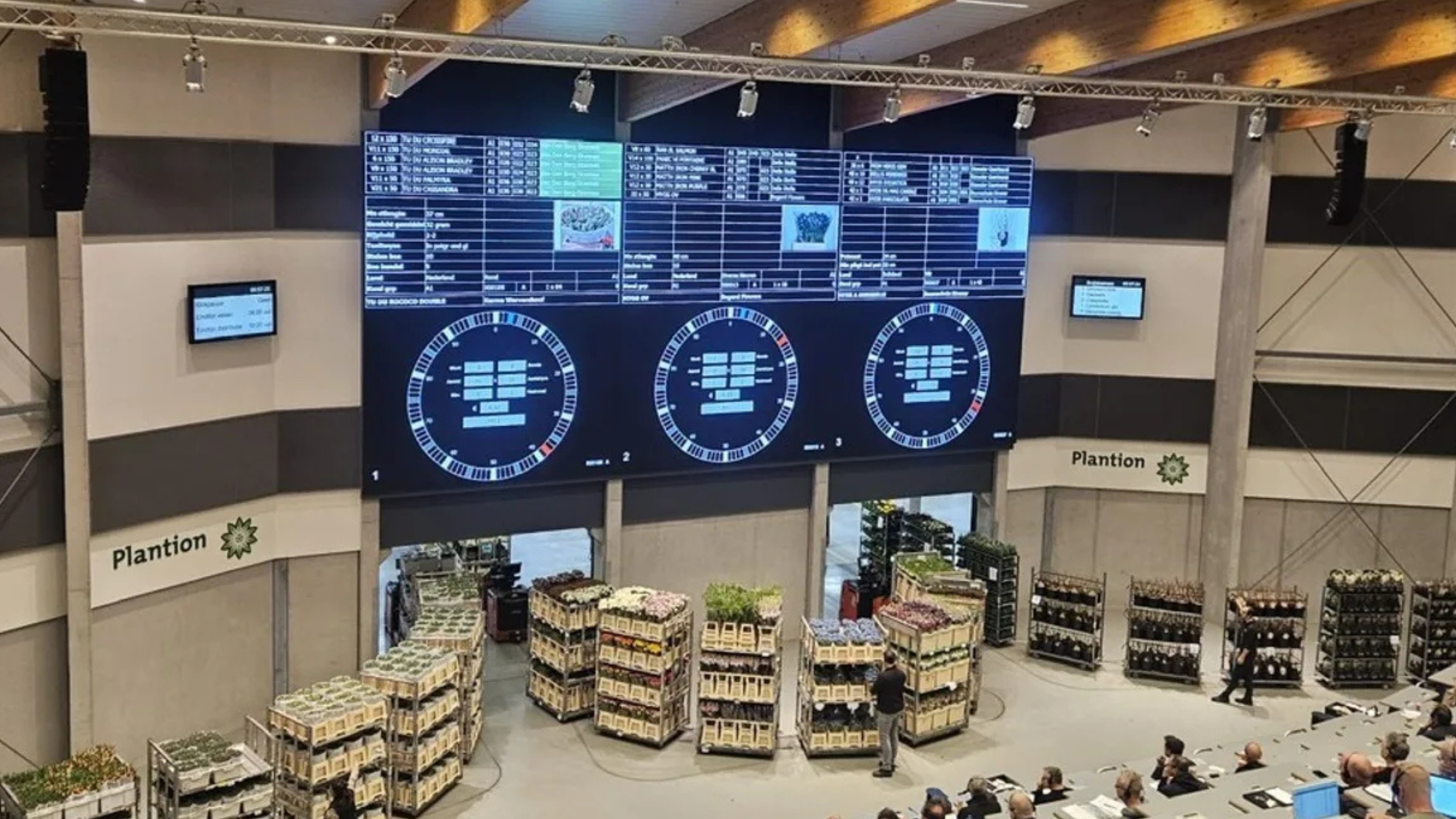 Plantion en Beyonder moderniseren veilingproces met innovatieve ai-gedreven oplossing