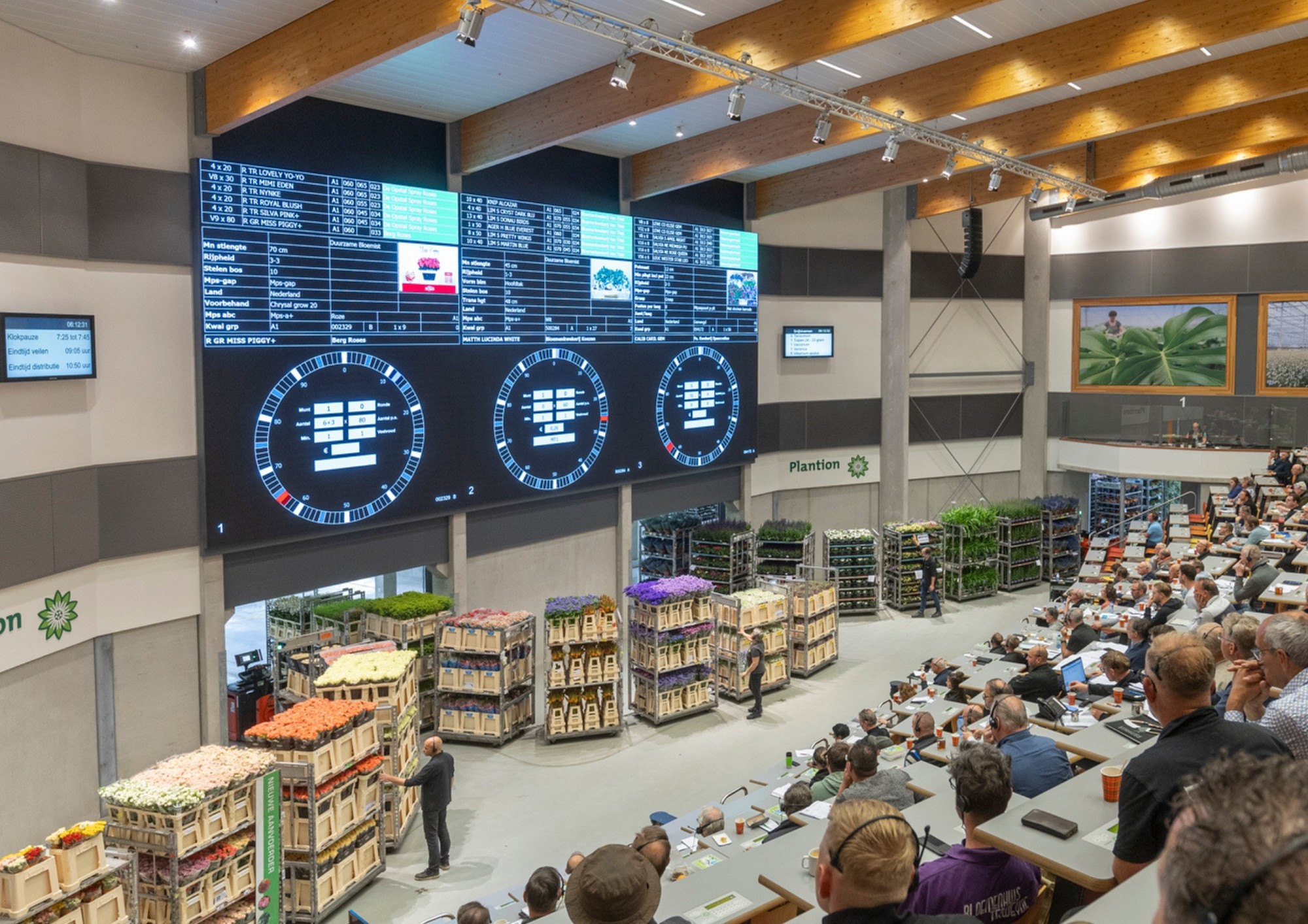 Plantion: een bedrijfskritische AS400-transformatie van het veilingsysteem