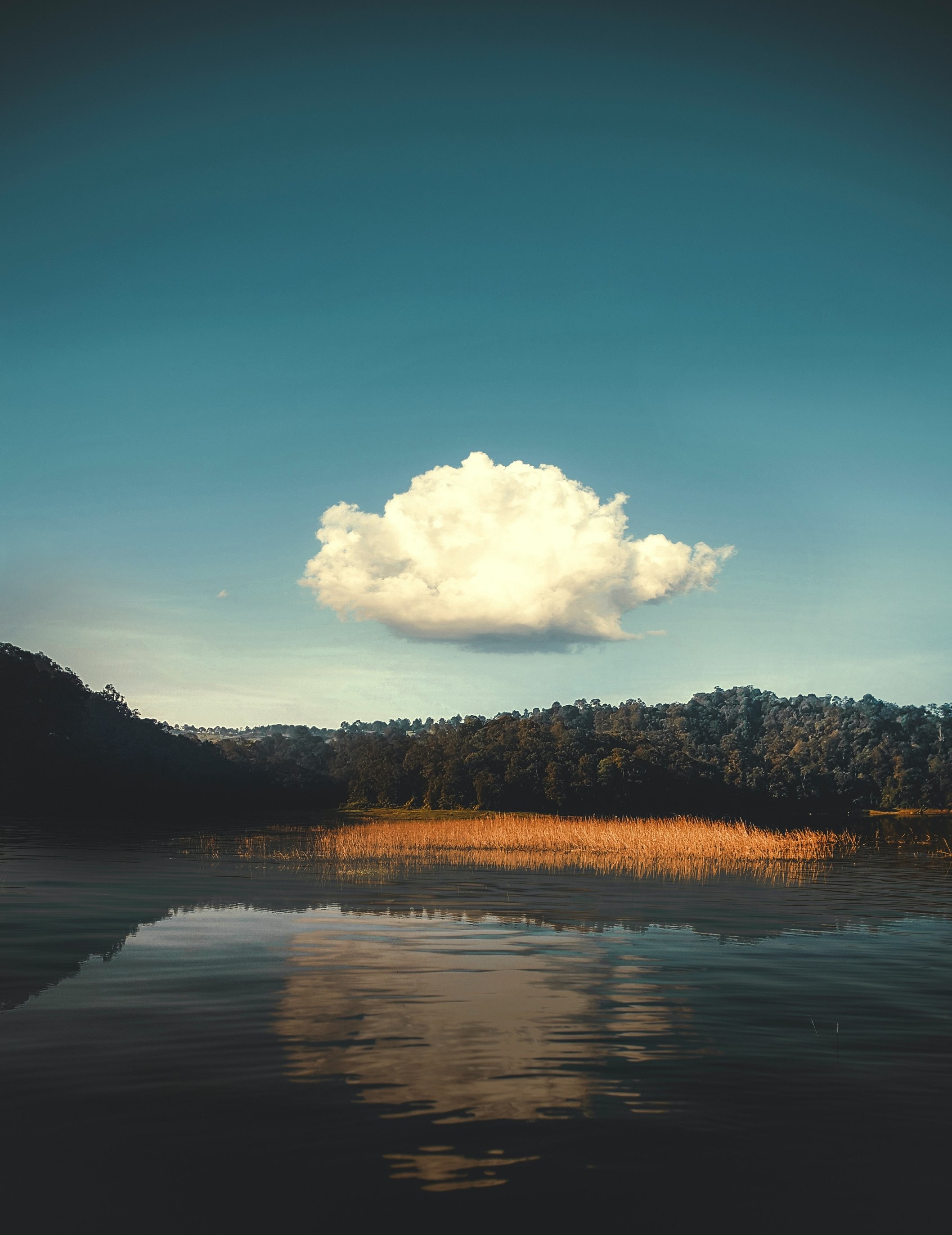 Die Zukunft des Cloud Computing: Ein Vergleich der führenden Public-Cloud-Services